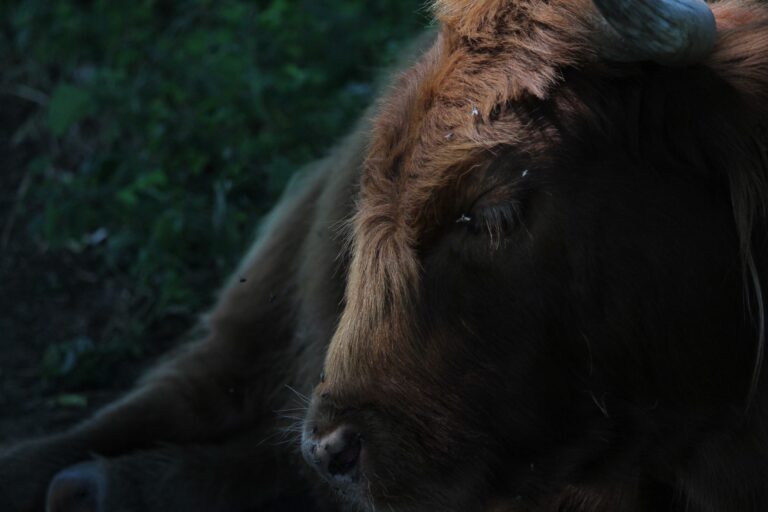 3dc8a47c-eea4-455c-a182-a19084e486f9