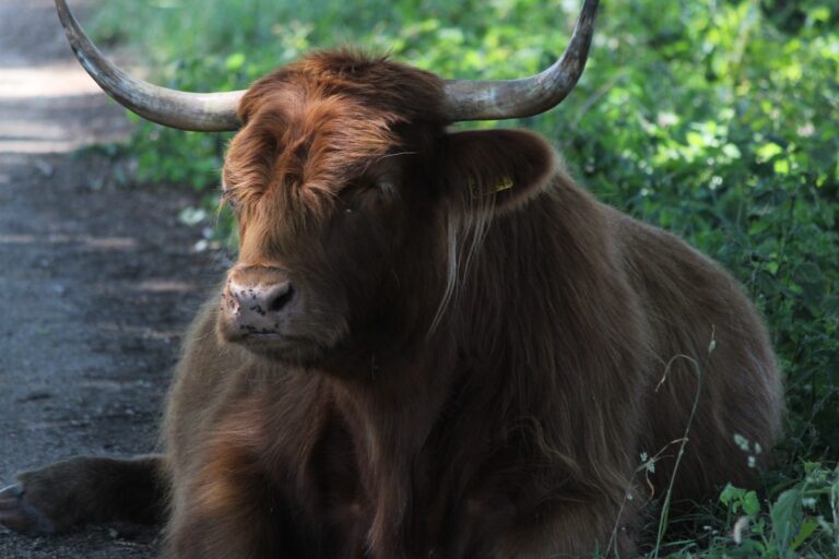 7bcd22d5-d557-43bd-8ece-c9ab602dfff1